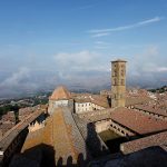 Benessere animale: un progetto del Comune di Volterra