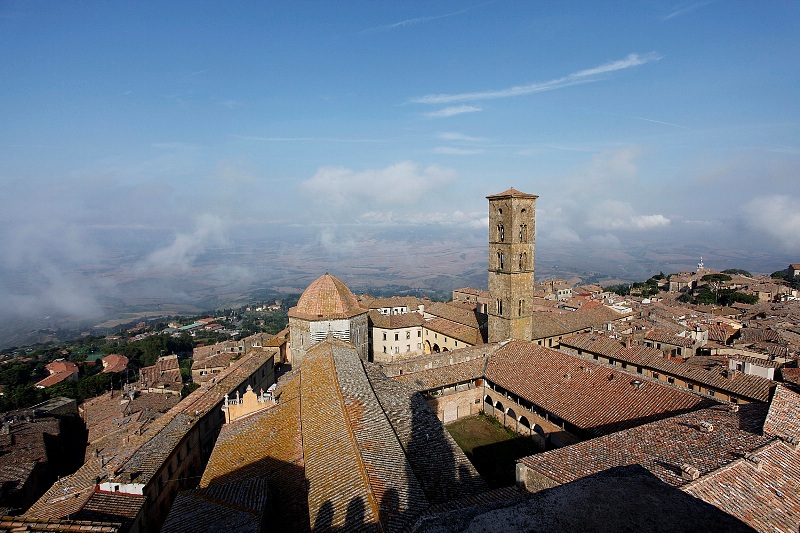 Benessere animale: un progetto del Comune di Volterra