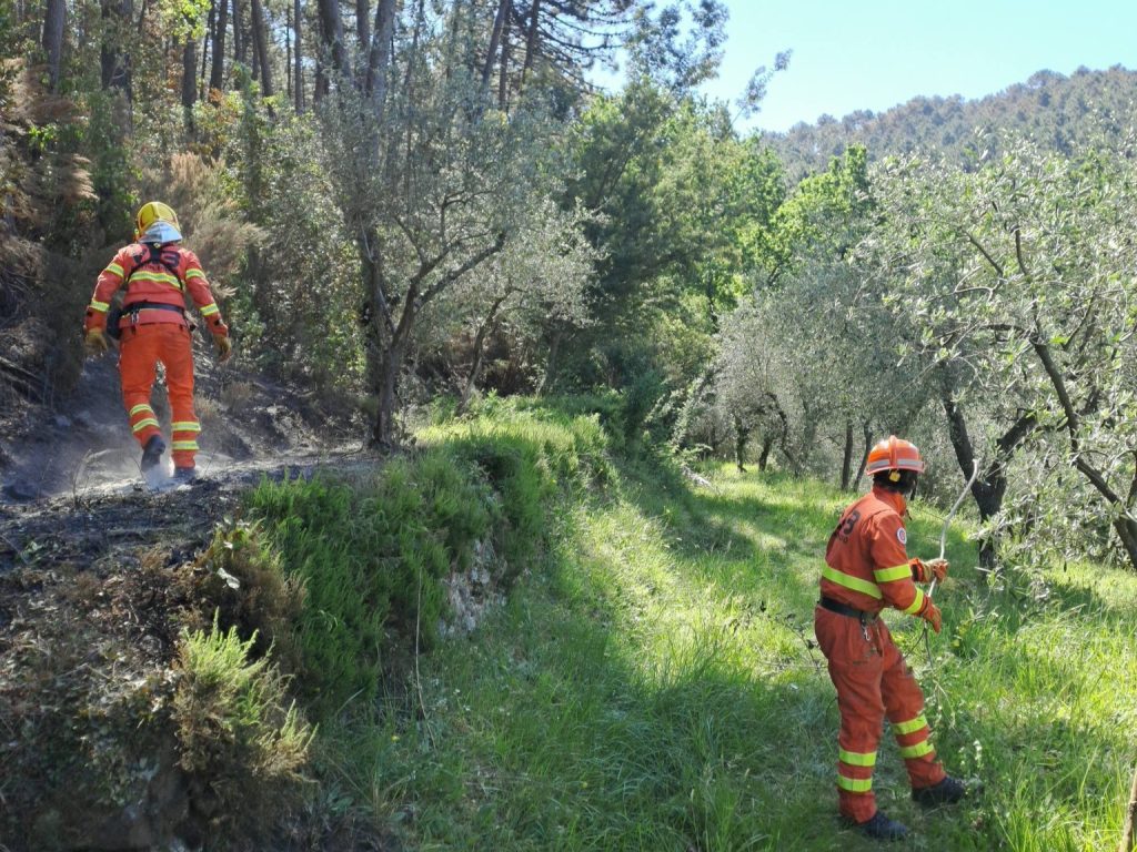 Bosco in fiamme tra Cerreto e Lamporecchio