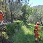 Bosco in fiamme tra Cerreto e Lamporecchio
