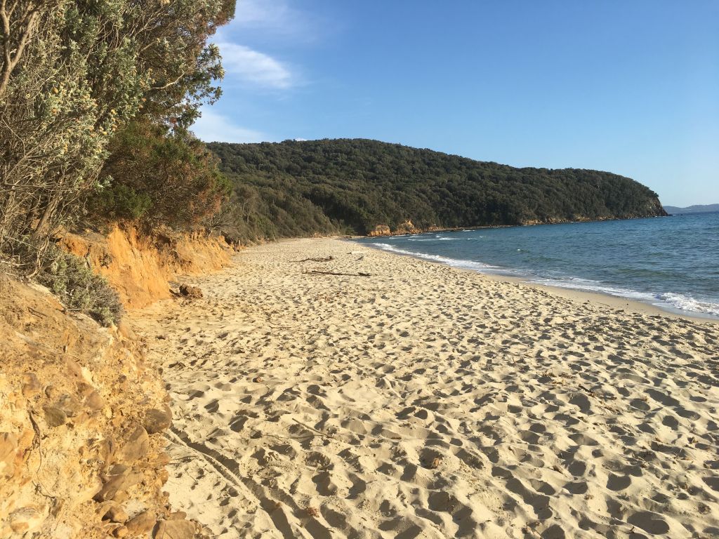 Cala Violina, ritorna il numero chiuso: prenotazioni disponibili dal 29 maggio