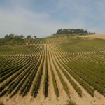 Ecco la Chianti Lovers Week tra Firenze e provincia!