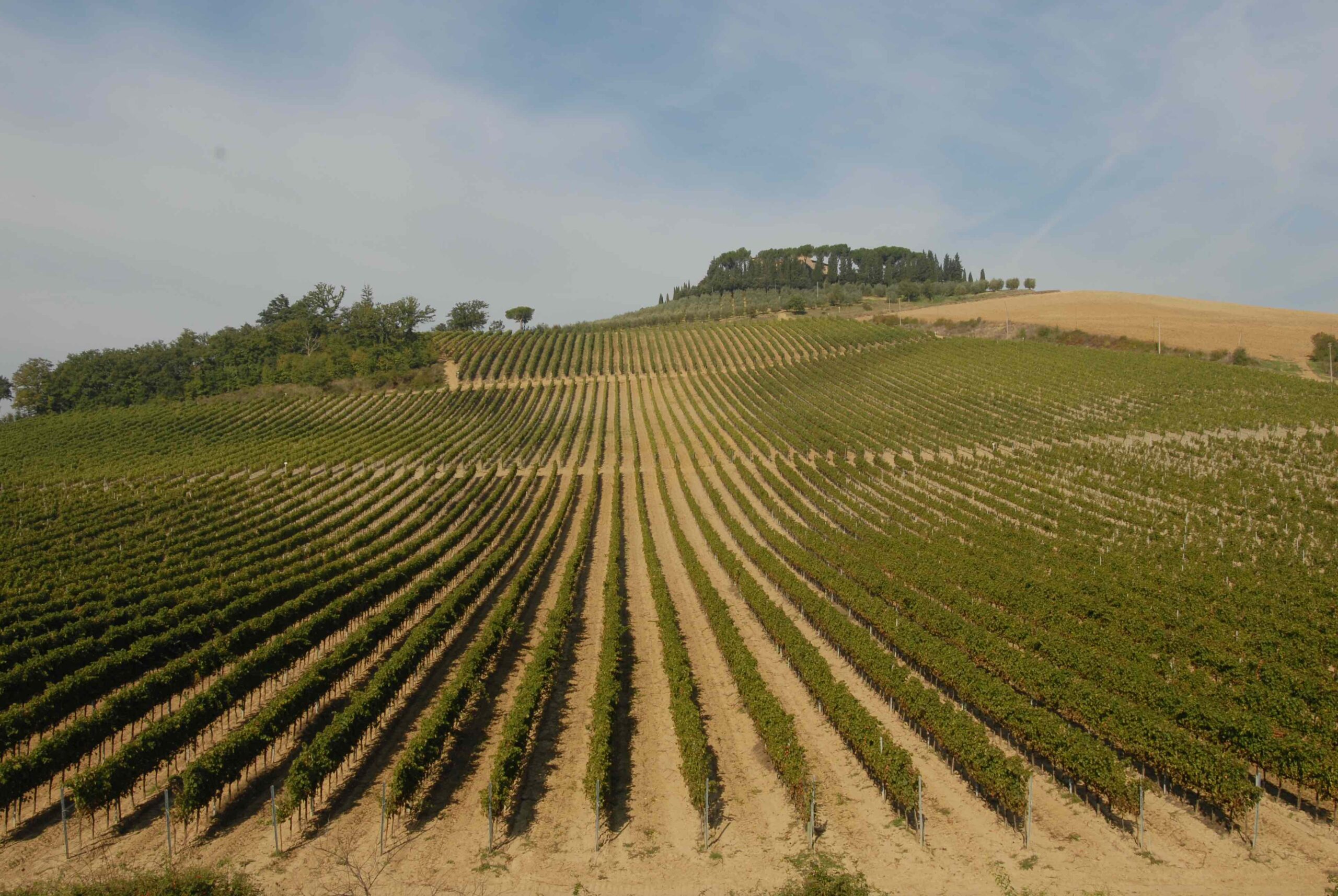 Ecco la Chianti Lovers Week tra Firenze e provincia!