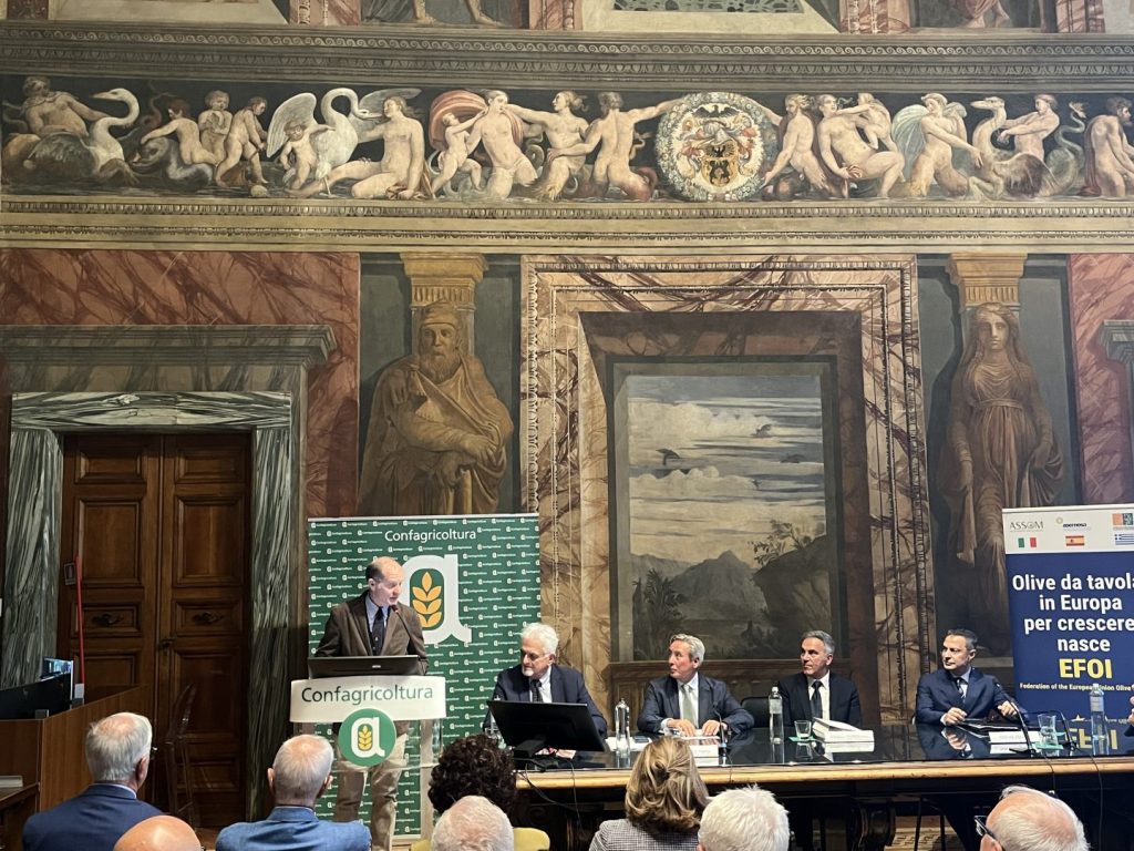 Efoi: La Voce dei Produttori Europei di Olive da Tavola