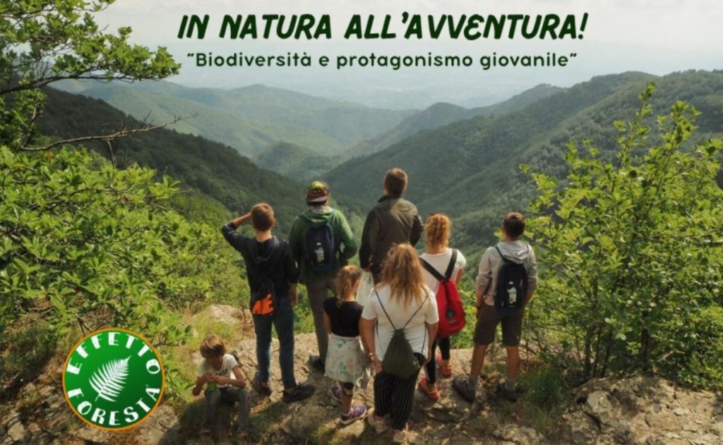 Estate in natura 2026: partono i campi estivi sulla biodiversità
