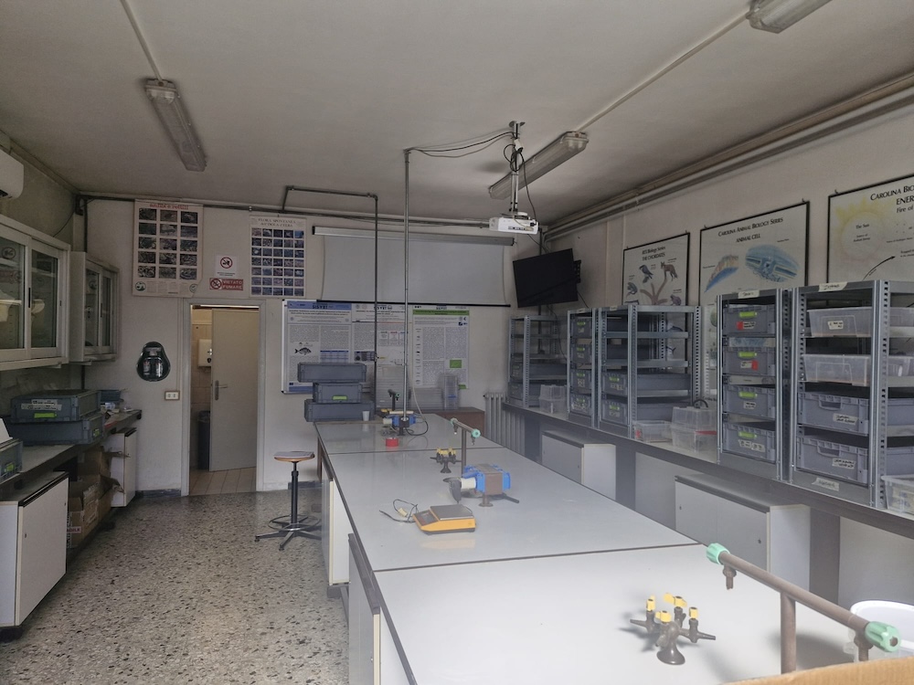 Farine di insetti: uno studio internazionale dell'UniPi rivela le preferenze dei consumatori, con l'Italia tra i paesi più cauti.