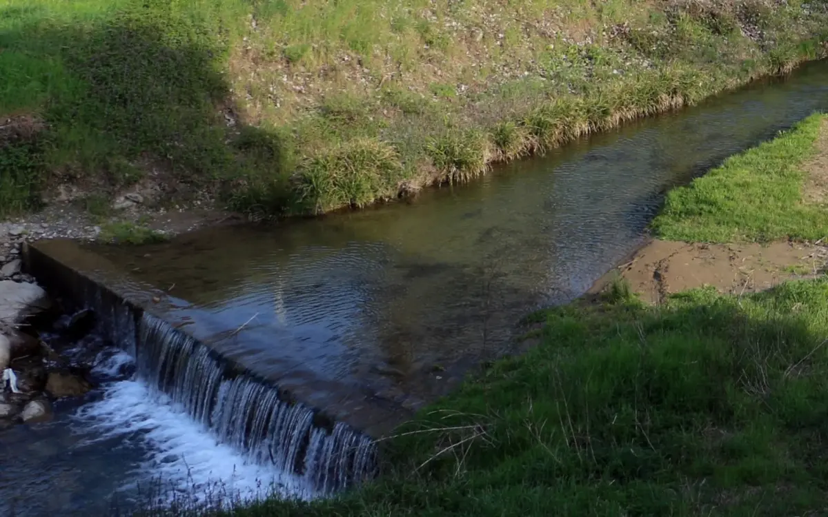 I sentieri dell'acqua a Rufina: un percorso tra natura e storia.