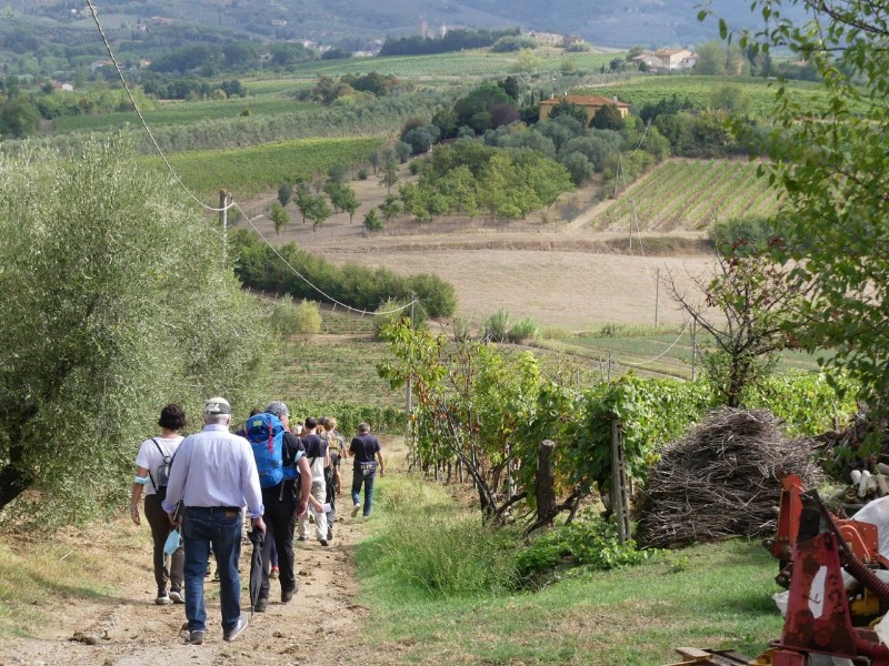 Il paesaggio riscoperto: escursioni tra le bellezze naturali di Montaione