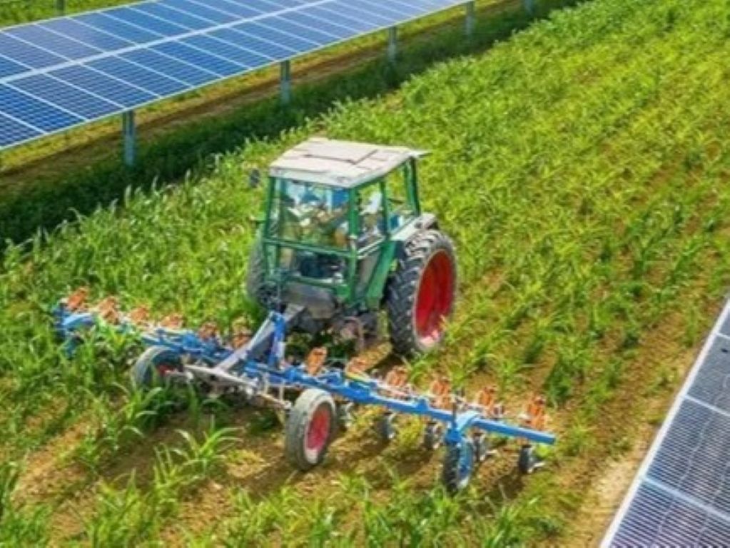 Impianto Ribolla, la Regione dà il via libera. Giani: "L'agrivoltaico è una sfida cruciale"