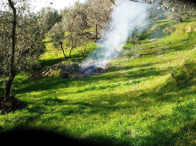Incendi: vietati gli abbruciamenti di residui vegetali in caso di vento