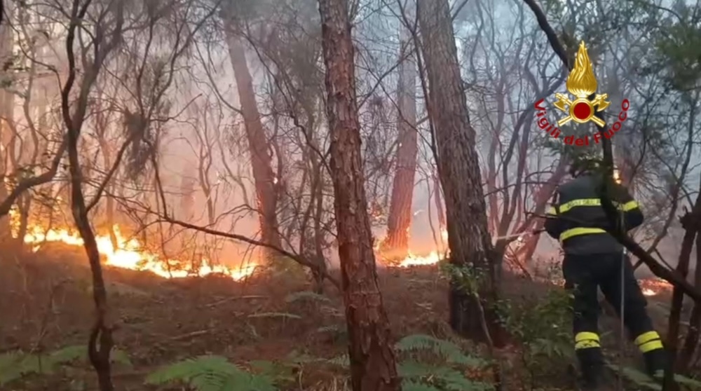 Incendio Monte Faeta: interrogazione di Zambito (PD) al Governo sui danni causati dall'incendio