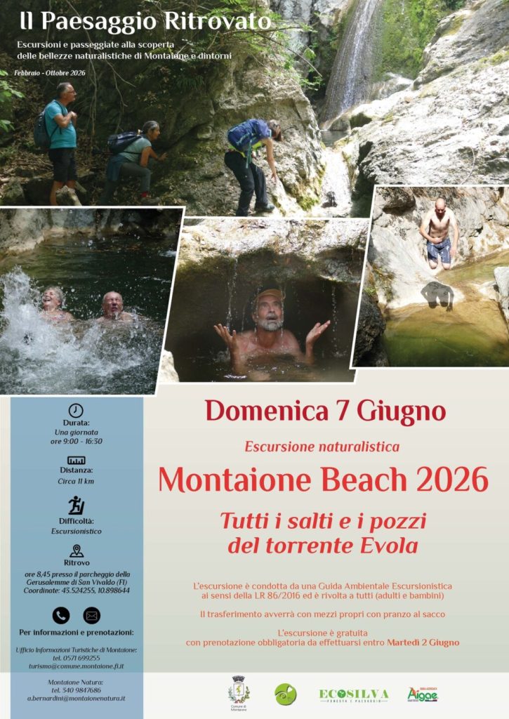 Montaione Beach: Escursione tra Boschi e Torrenti per il Ciclo 'Il Paesaggio Ritrovato'