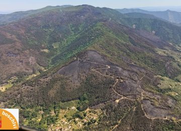 Incendio, fermato il fronte delle fiamme sul Monte Faeta. A Massarosa rogo circoscritto a sette ettari.