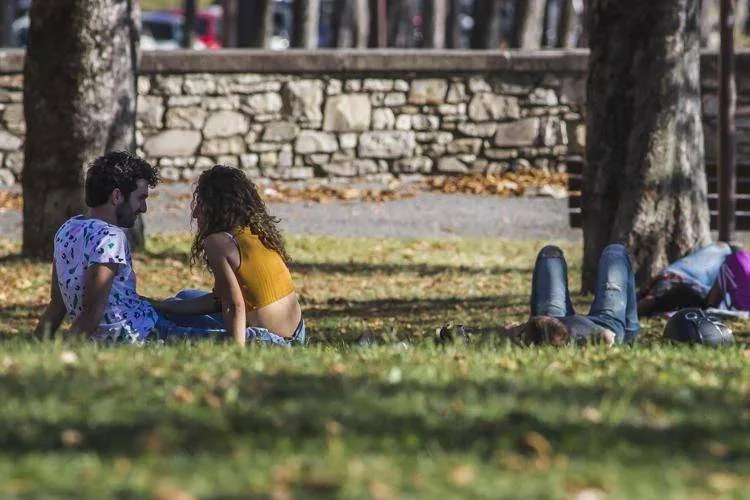 Nei parchi si nasconde una tossina letale, ma potrebbe diventare una cura per l'uomo: lo studio