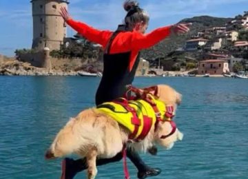 “Pegaso per la solidarietà” della Regione alla Scuola Italiana Cani da Salvataggio di Firenze