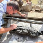 San Casciano dei Bagni, approvato il nuovo accordo per il patrimonio archeologico del Bagno Grande