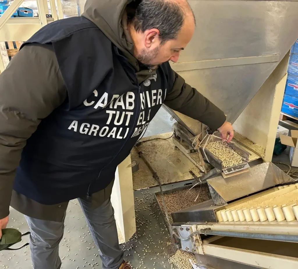 Sequestrate a Reggio Emilia 90 tonnellate di cereali e legumi infestati da roditori