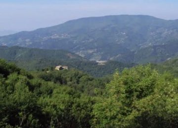 Cane attaccato e portato via da un lupo a Vaiano: il Comune avvisa "Fate attenzione"
