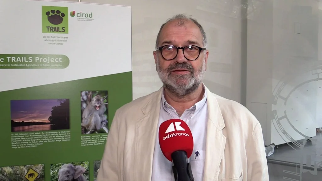 Sostenibilità, Rival (Cirad): "Con Trails, integrazione tra foreste e palme da olio"