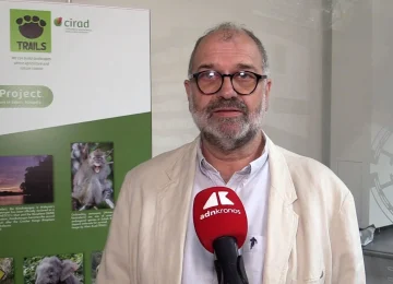 Sostenibilità, Rival (Cirad): "Con Trails, integrazione tra foreste e palme da olio"