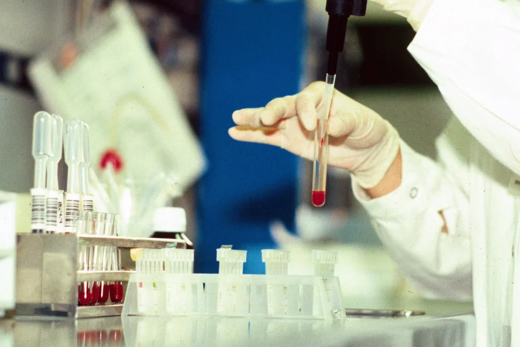 Virus 'zombie': la minaccia celata nel ghiaccio. È reale il rischio epidemia?