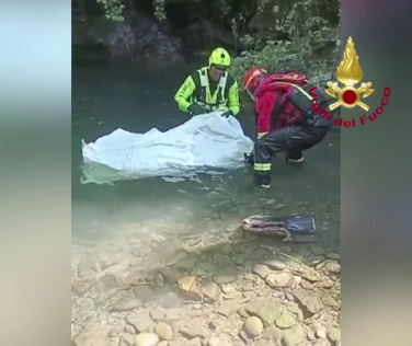 Cervo trovato senza vita nel torrente Fiumenta a Vernio: intervento dei vigili del fuoco