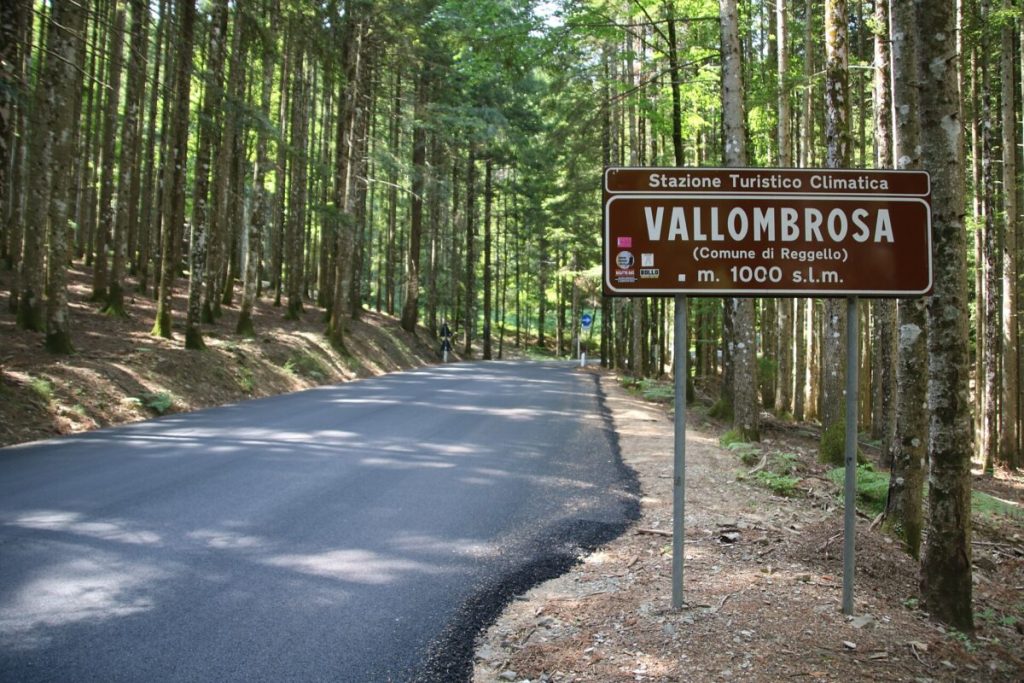 Foresta Maestra ritorna a Vallombrosa con un weekend di eventi