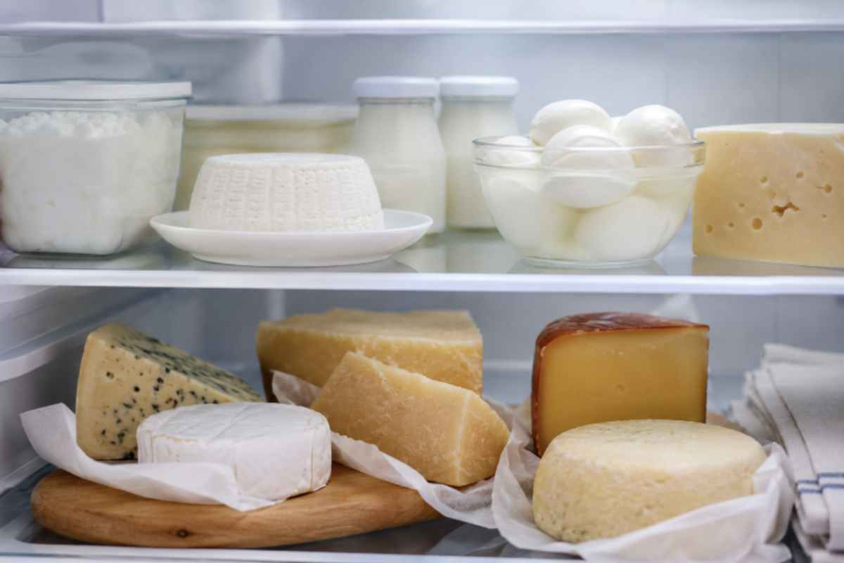 Formaggio sempre fresco e senza muffa: il metodo innovativo del contenitore "rovesciato" – OK!Mugello