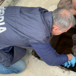 Guardia di Finanza, sequestrati oltre 30.000 litri di gasolio