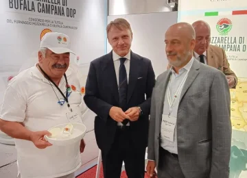 Il Consorzio Mozzarella Dop vola a New York per svelare la nascita della bufala campana.