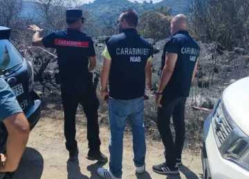 Incendi: il CUFAA potenzia il sistema nazionale per la protezione dei boschi