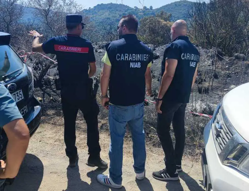 Incendi: il CUFAA potenzia il sistema nazionale per la protezione dei boschi