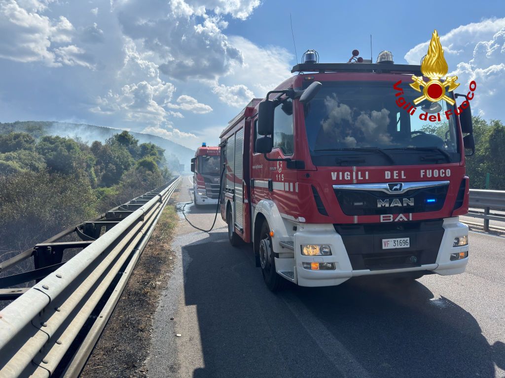 Incendi nel Grossetano: Fiamme a Montorsaio e Sant'Andrea