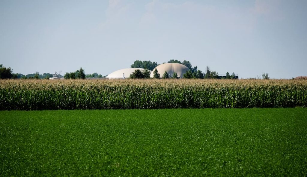 Le Energie Rinnovabili: Un Pilastro Crescente per l'Agricoltura
