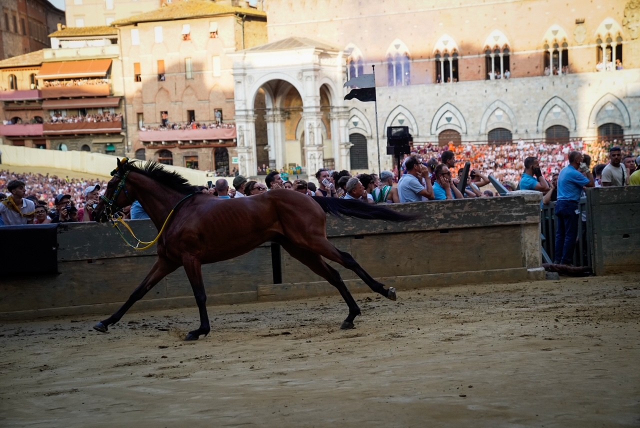 Palio del 2 luglio: Il Bruco conquista la terza prova