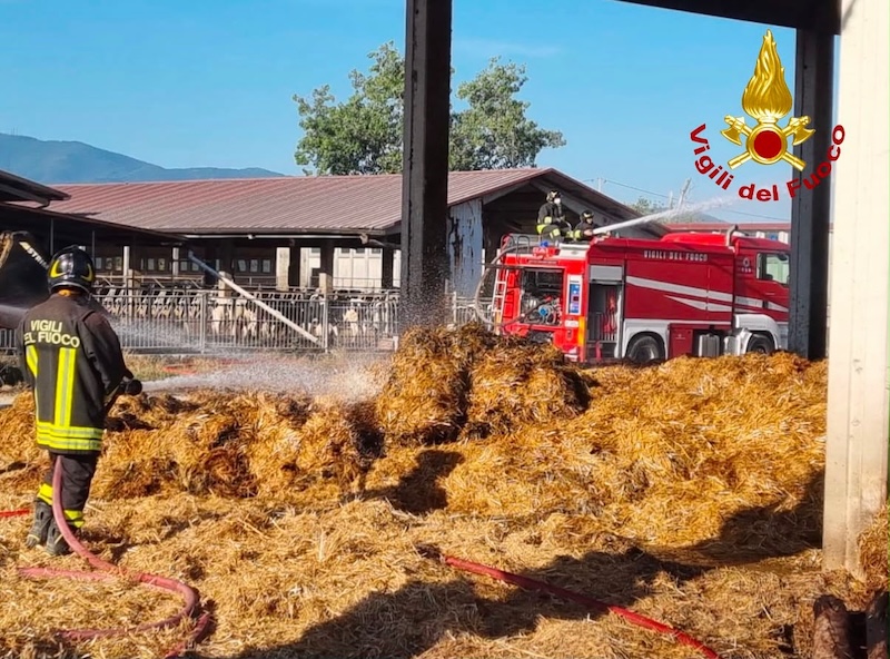 Pisa, incendio in un capannone di rotoballe di fieno
