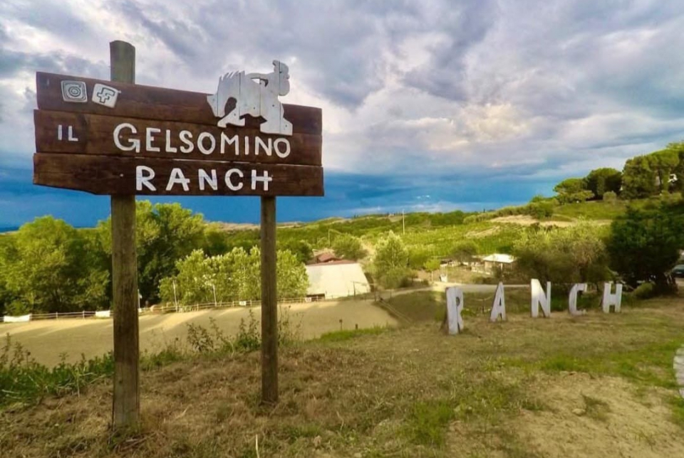 Ritorna l'estate più emozionante di sempre con i campi estivi del Gelsomino Ranch!