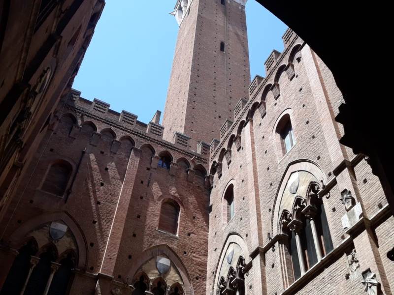 Siena, selezionati i cavalli per il Palio del 2 luglio.