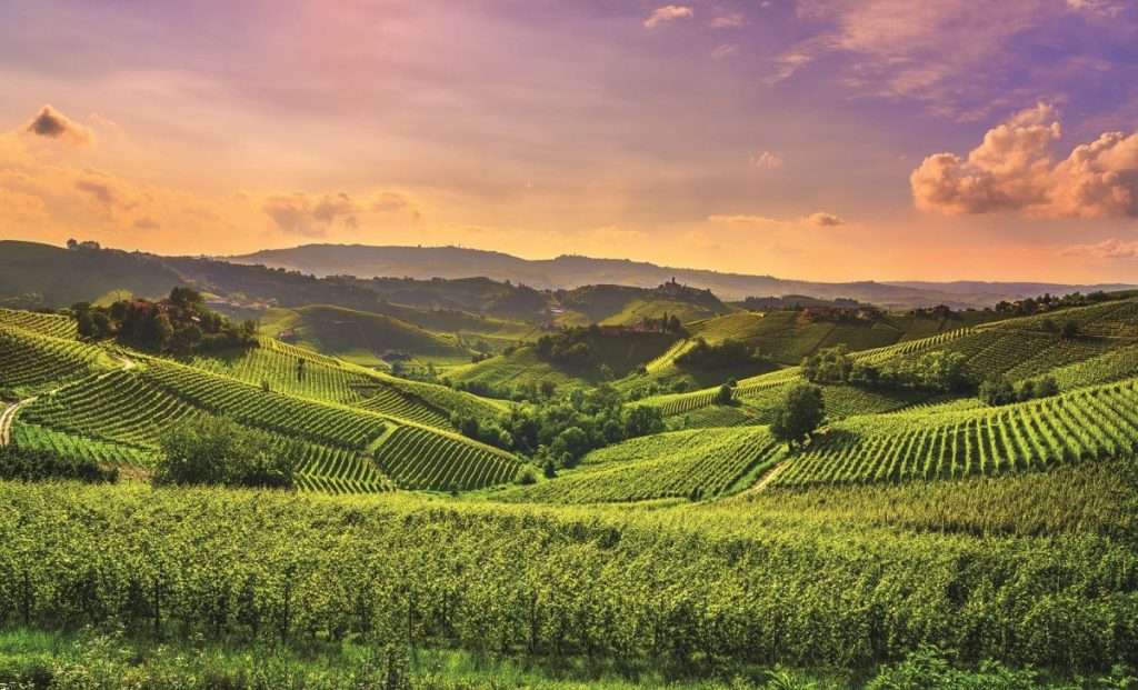 Torino e Sardegna tra i finalisti degli EU Organic Awards 2026