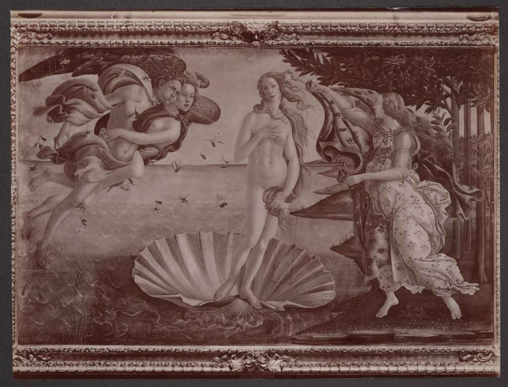 Uffizi: ora la Primavera e la Venere si "incontrano negli occhi"