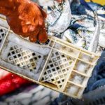 Uila Pesca: Il Settimo Congresso Nazionale dell'Agenzia di Stampa Italpress Parte Lunedì a Roma