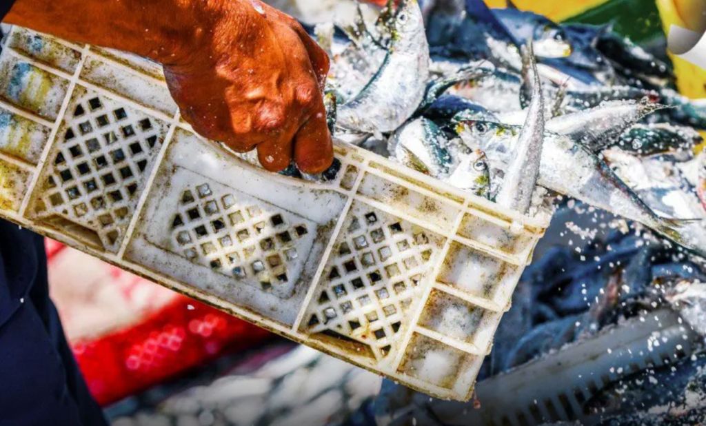 Uila Pesca: Il Settimo Congresso Nazionale dell'Agenzia di Stampa Italpress Parte Lunedì a Roma