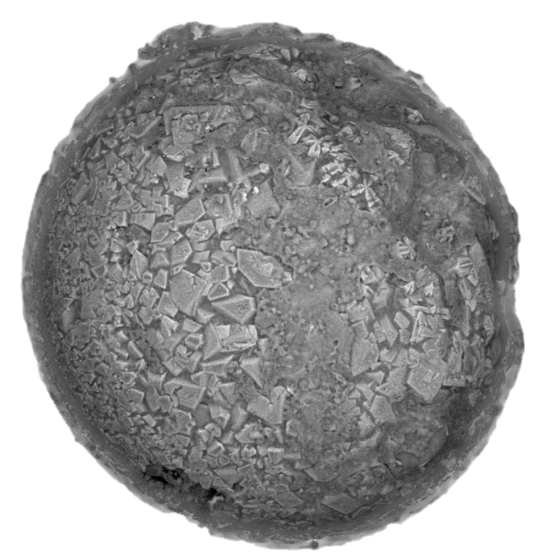 Polveri cosmiche svelano l'esistenza di un nuovo tipo di asteroide primitivo mai osservato prima, vicino alla Terra.