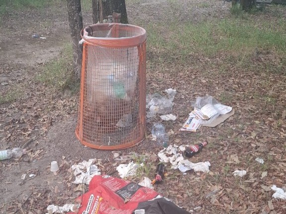 Canile comunale e Parco Robinson sotto accusa dall'opposizione: "Richiediamo trasparenza e azioni"