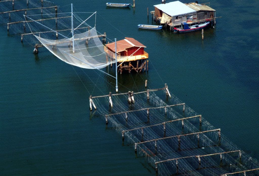 Creazione, ricerca e innovazione: affrontare le sfide future nel settore della pesca
