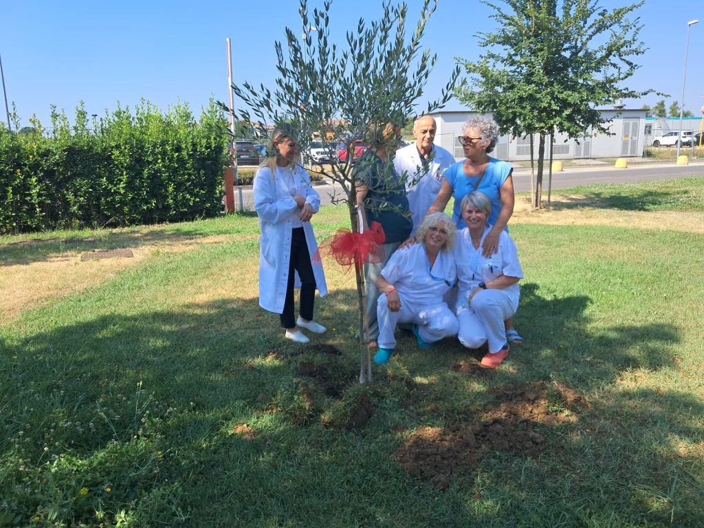 Donato un ulivo per il PASS all'ospedale Santo Stefano