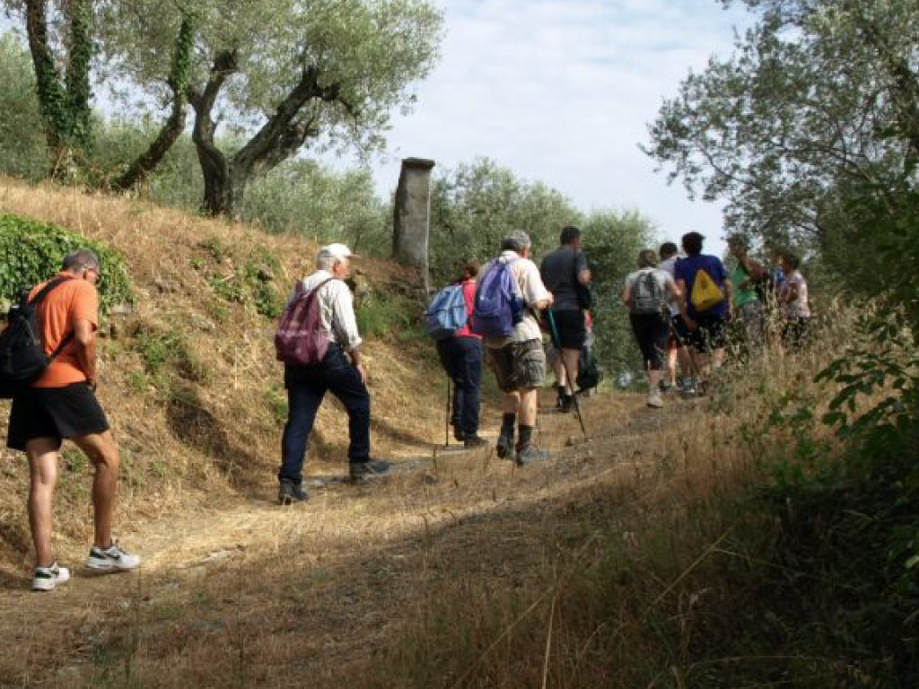 Esplorando il Montalbano: Quattro Passeggiate Gratuite a Lamporecchio
