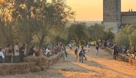 Flavia Guerra trionfa nuovamente al Palio di San Donato a Poggio in Poggio