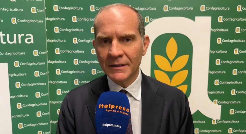 Giansanti: 'È Tempo di Risposte Concrete su Xylella'