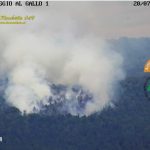 Incendio boschivo a Sovicille: Due elicotteri in azione sul posto